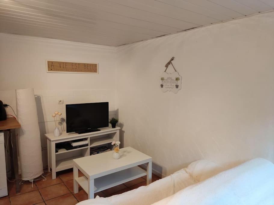 Appartement En Rez De Jardin Et Terrasse Ds Villa Hyères Exteriör bild